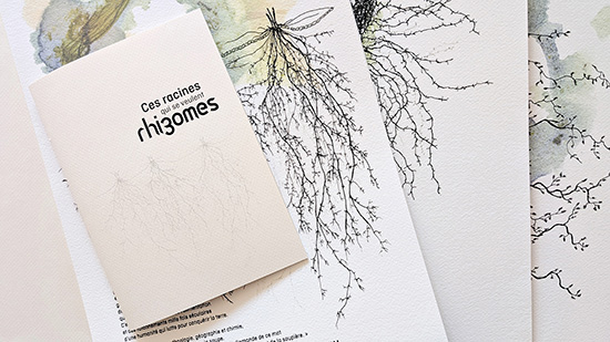 Jocelyne Thibault_Ces racines qui se veulent rhizomes